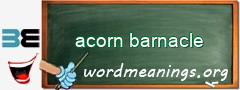 WordMeaning blackboard for acorn barnacle